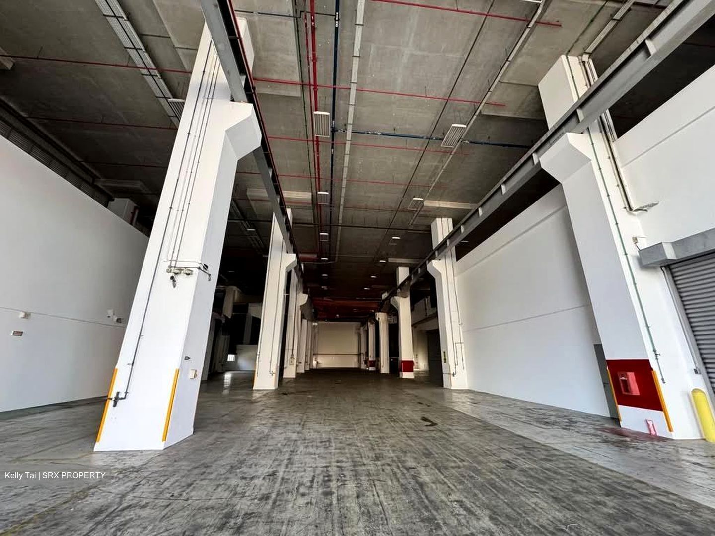 Loyang Industrial Estate (D17), Factory #593484201